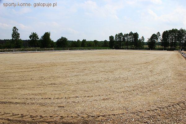 Zapraszamy na Mistrzostwa Polski w Powożeniu Zaprzęgami Parokonnymi