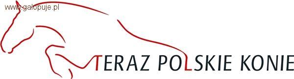 Teraz Polskie Konie, czyli zwycięzcy rankingów PZHK 2011