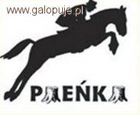 Mistrzostwa Polski kucy 2012 Puchar Polski Pieńki