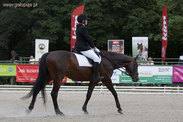 ZT-A Royal Cup 2012 rozegrane