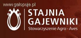 Gajewniki Mistrzostwa Polski Młodych Koni w skokach