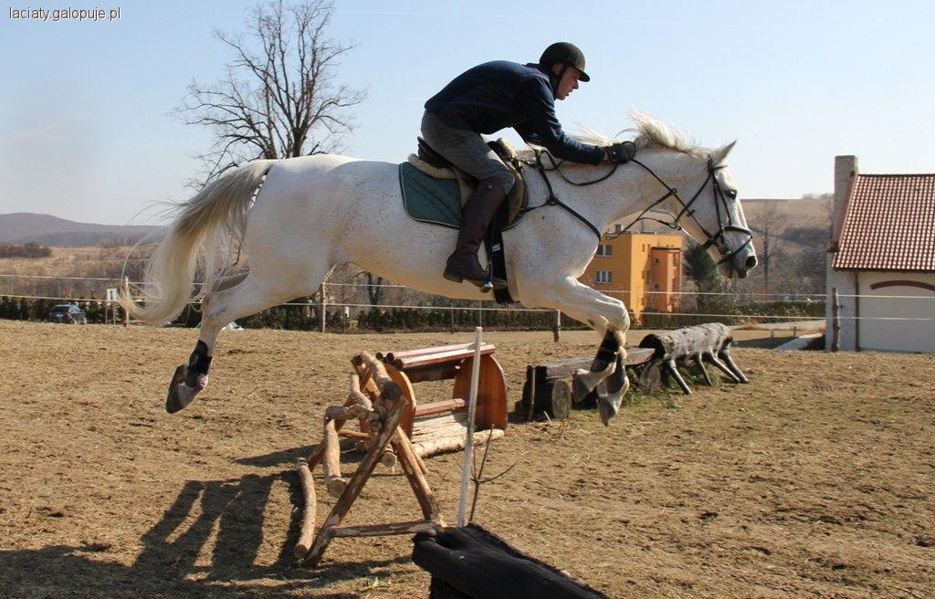 Derby - kombinowany konkurs WKKW i skoki Paczółtowice Equestrian Centre Kraków