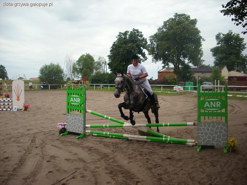 Trening w Stadninie Koni Złota grzywa