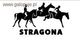 Skoki w Stragonie