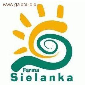 Puchar Sielanki - V eliminacje