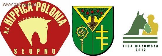 II Zawody Regionalne w  skokach o  Puchar Wójta Gminy Jabłonna 