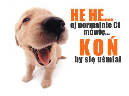 Koń by się uśmiał ;-)
