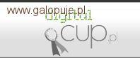 Rusza Digital Cup – zgłoś się na e-zawody