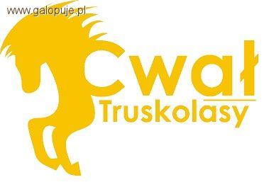 Mistrzostwa Śląska Truskolasy