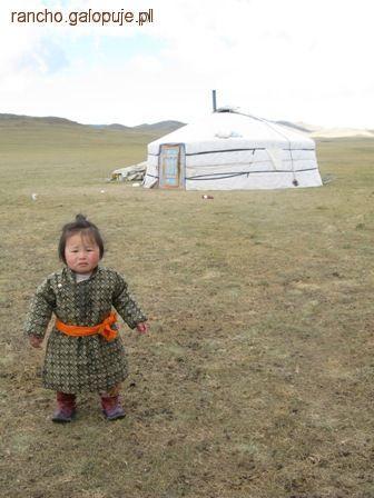 Są jeszcze wolne miejsca na wyprawę konną po Mongolii - Rancho Rumak