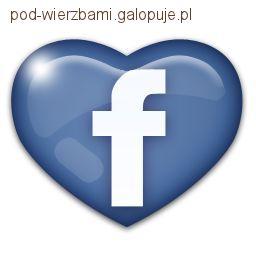Profil naszego pensjonatu na facebooku !