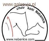 Polacy na na CAI-A Nebanice