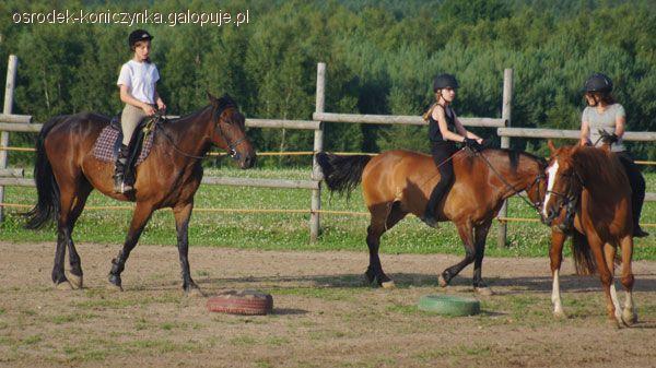 Film z I turnusu Wakacji w Siodle w 2012 r.