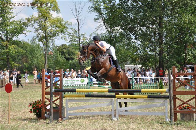 II Regionalne Zawody Jeździeckie w Skokach przez Przeszkody – Trzciel 28 lipca 2012