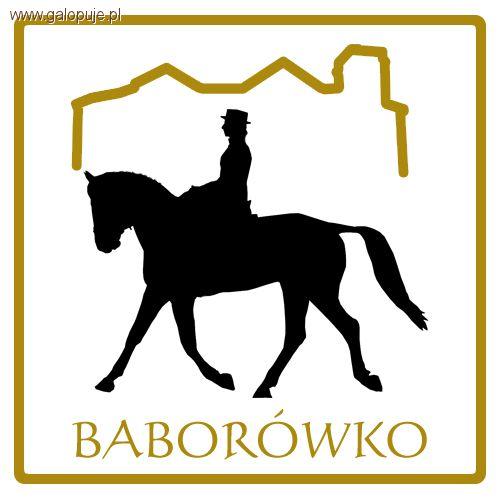 Festiwal Jeździecki Baborówko - wyniki  ujeżdżenia + listy startowe na cross