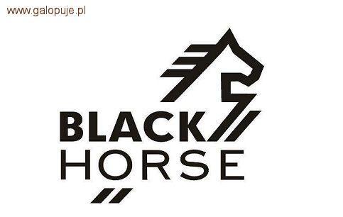Kosmetyki  Black Horse – w trosce o właściwą pielęgnację grzywy i ogona konia 