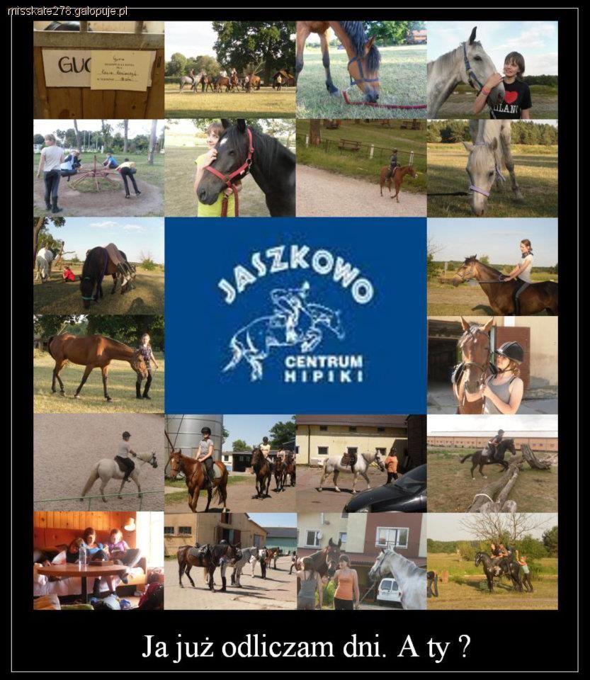 Opinia i relacja z obozu jeździeckiego Jaszkowo 