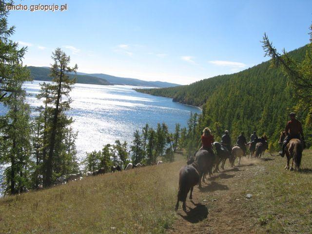 Mongolia konno - zapraszamy!