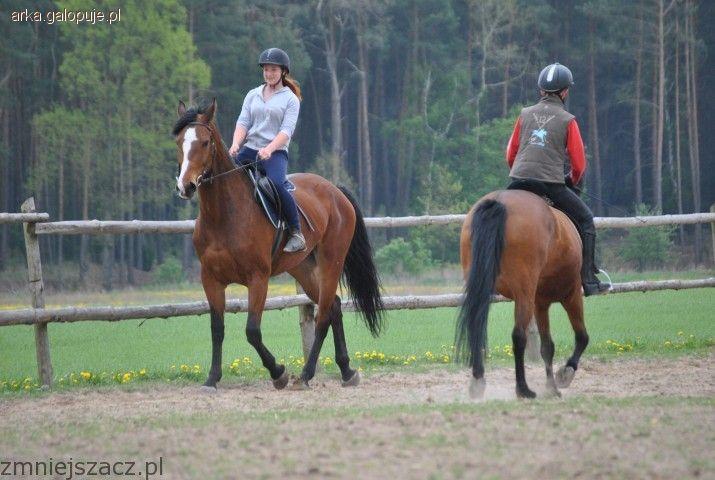 Jeździeckie wakacje w Stajni Arka - ostatnie wolne miejsca