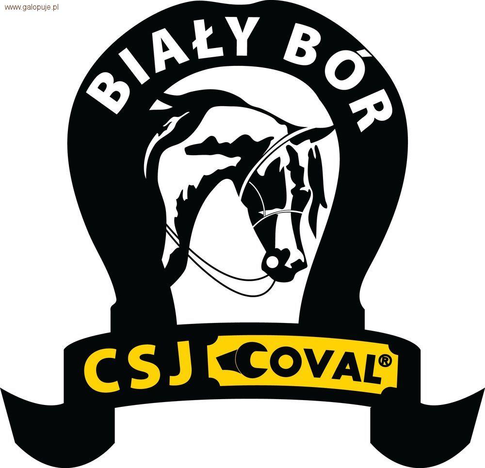 Biały Bór zawody konne CDN  2012
