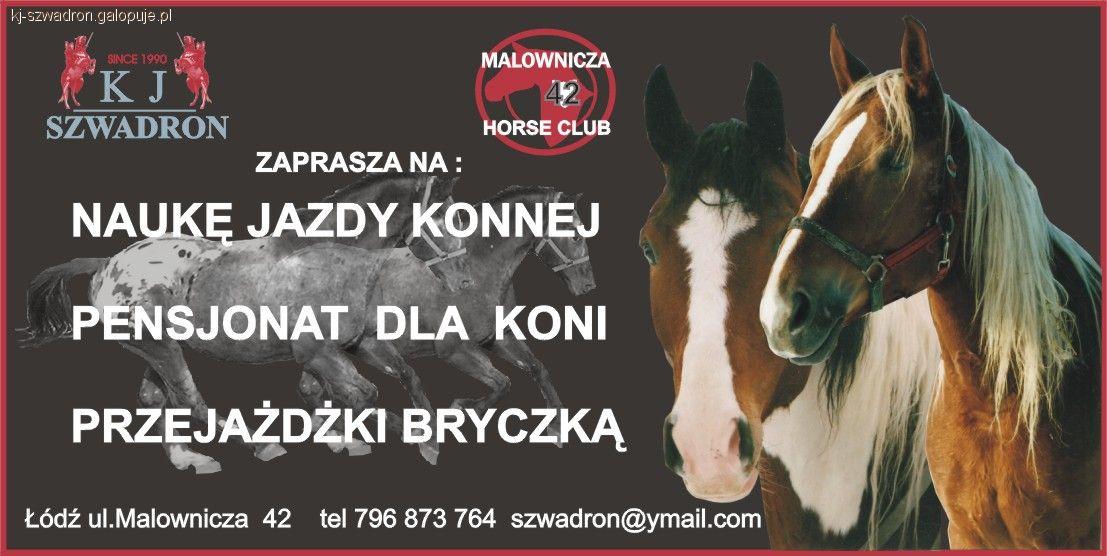 Klub jeździecki Szwadron Malownicza Horse Club 