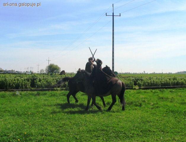 Nabór do szkoły rycerskiej - Stajnia Marynki