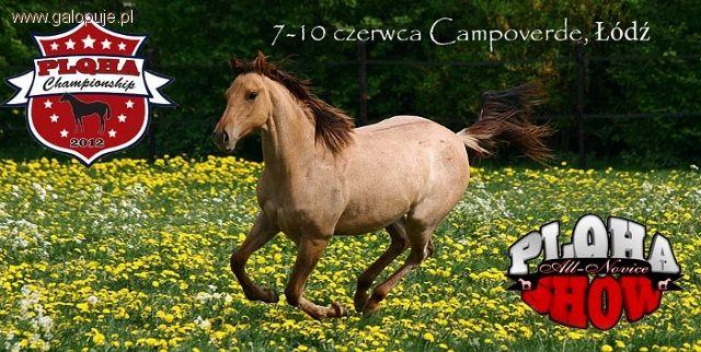 Mistrzostwa PLQHA  All Novice Show Campoverde Ranch  Łódź 2012