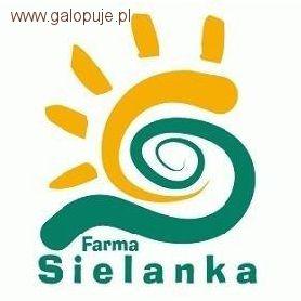 Puchar Sielanki III eliminacje - listy startowe