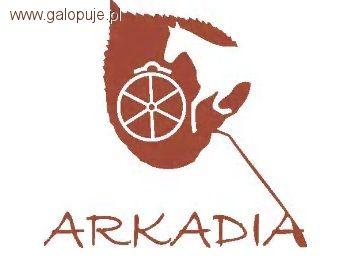 Regionalne zawody w ujeżdżeniu - Arkadia 2012 odwołane