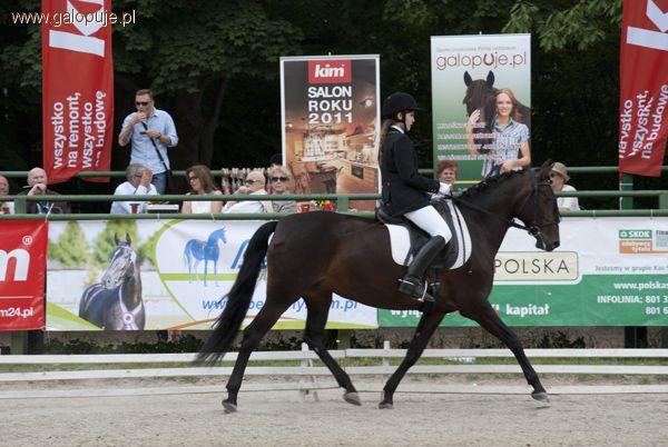 Royal Cup 2012 - zawody w Łazienkach Królewskich zakończone