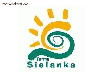 Puchar Sielanki - zapraszamy na drugie eliminacje