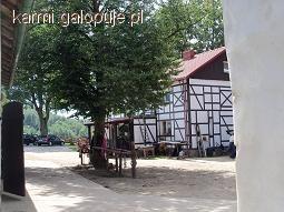 Relacja z obozu jeździeckiego w Kolanie