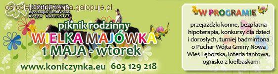 Wielka Majówka - piknik rodzinny w Koniczynce
