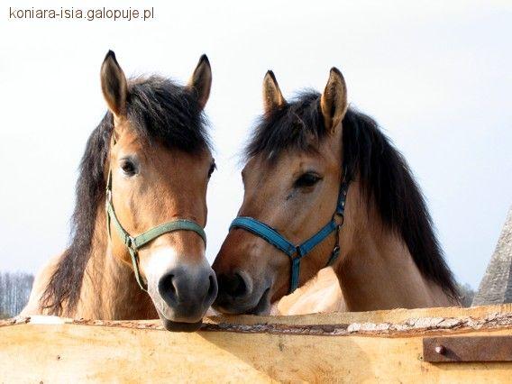 Rozstania...