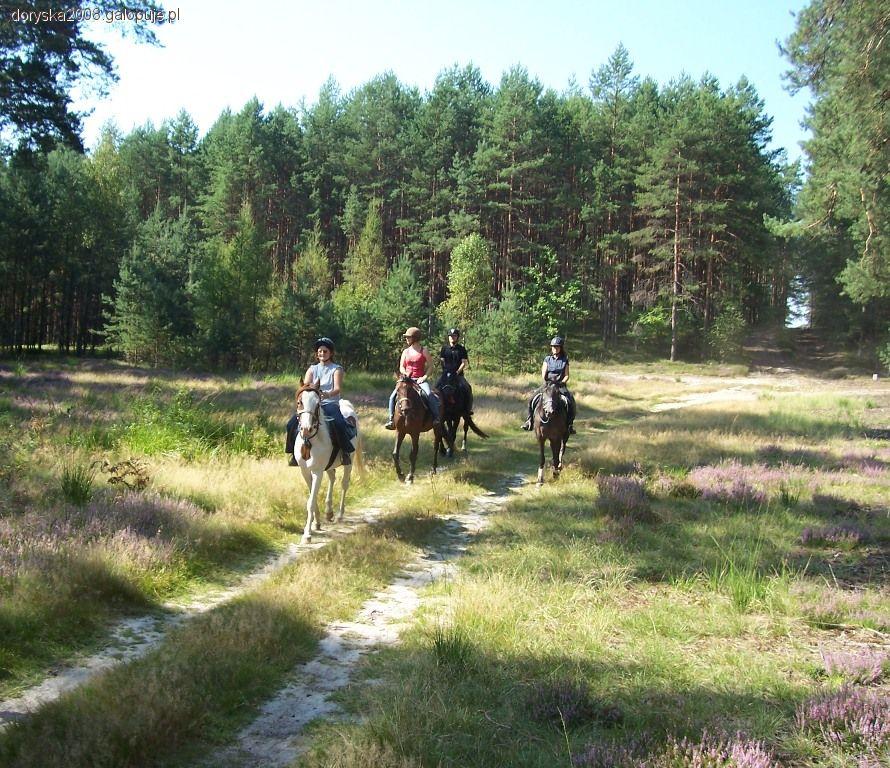 Otwrcie turystycznego sezonu rajdowego w Zagrodzie Jeździeckiej Mustang