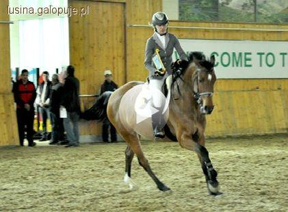 Aleksandra Lusina na CSI1*-W / CSIYH1*Baku