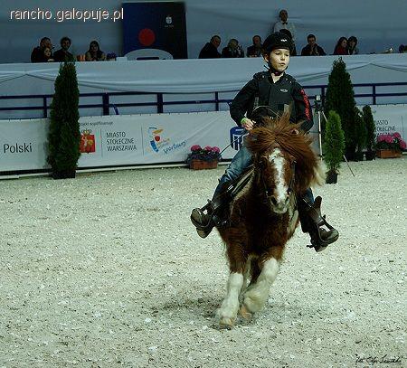 Bryczuś i Olinka na Cavaliadzie 2012 w Warszawie
