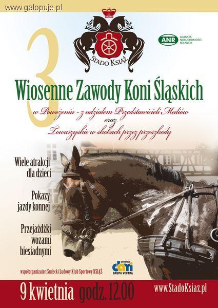 III Wiosenne Zawody Koni Śląskich w Powożeniu Stado Książ 2012