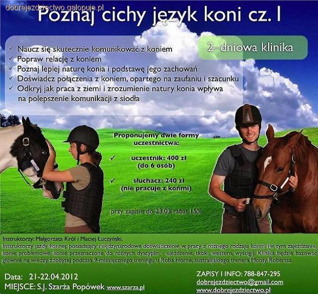 Szkolenie naturalne koni - z metod naturalnych pracy z ziemi!