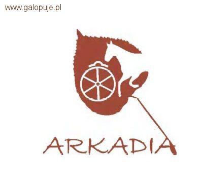 Halowe Towarzyskie Zawody Jeździeckie w ujeżdżeniu i skokach - OJ Arkadia