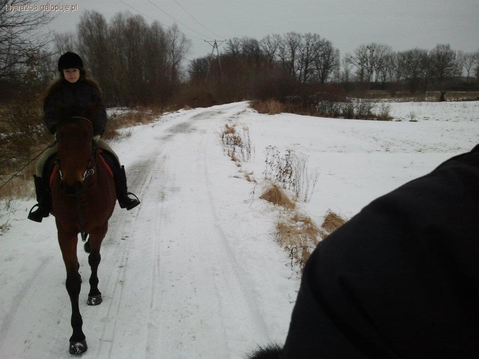 Niedzielny śnieżny teren