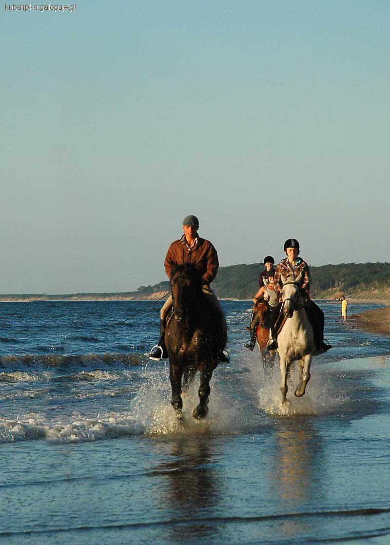 Obozy jeździeckie nad mofrzem Trotter