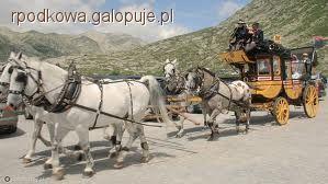 Pojazdy podróżne 