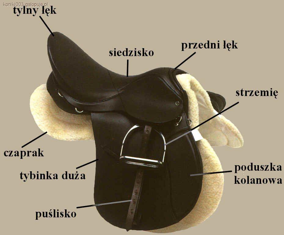  Rząd jeździecki, czyli sprzęt używany do pracy z końmi. 