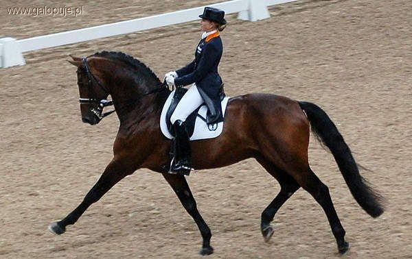 CDI3* Wrocław Partynice - wyniki i listy startowe