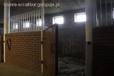 Wolne boksy w Ładzyniu k.Mińska Maz.!