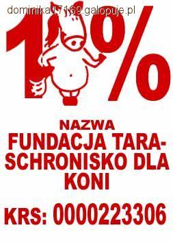 Fundacje dla koni