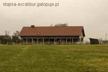 Stajnia Excalibur oferta