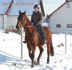 Jazda 29 stycznia