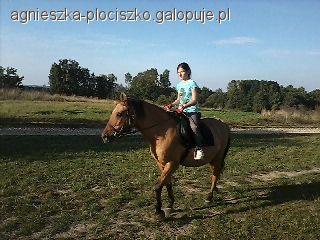 Moje upadki z konia